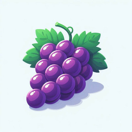 Illustration of purple grape on a white background. Vector illustration.のイラスト素材