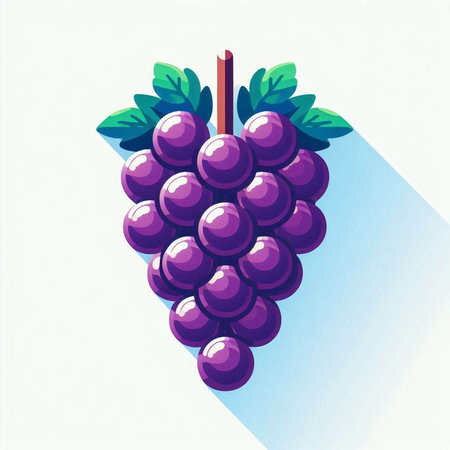 Grapes on a white background. Vector illustration of grapes.のイラスト素材