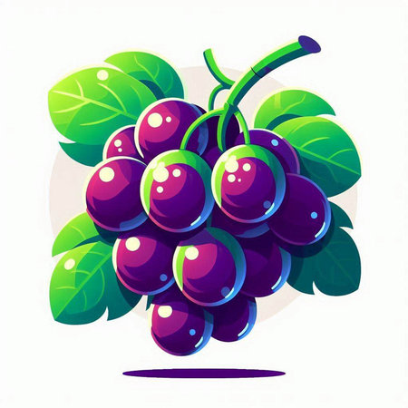 Grapes on a white background. Vector illustration. Eps 10のイラスト素材