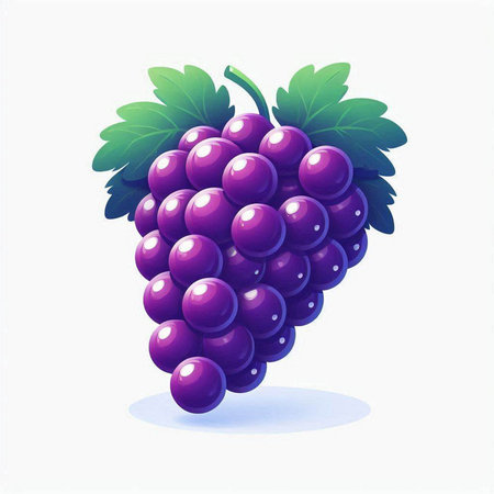 Illustration of a bunch of purple grapes on a white background.のイラスト素材