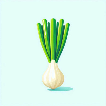 Illustration of a fresh spring onion on a light blue background.のイラスト素材