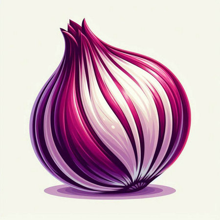 Illustration of red onion on a white background. Vector illustration.のイラスト素材