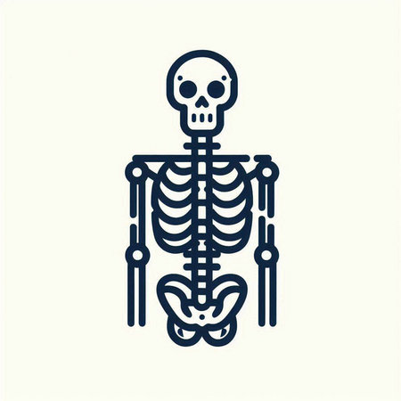 Human skeleton line icon, vector illustration. Flat design style with dark outlines.のイラスト素材