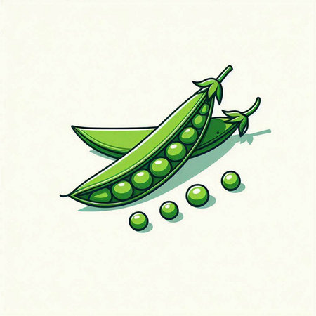 Pea pod with green peas on a light background. Vector illustration.のイラスト素材