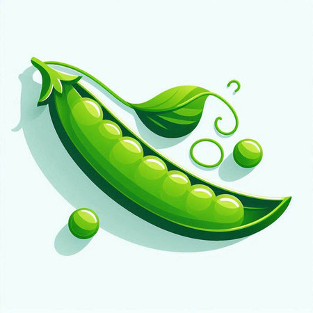 Green peas with leaves on a light background. Vector illustration. EPS 10のイラスト素材