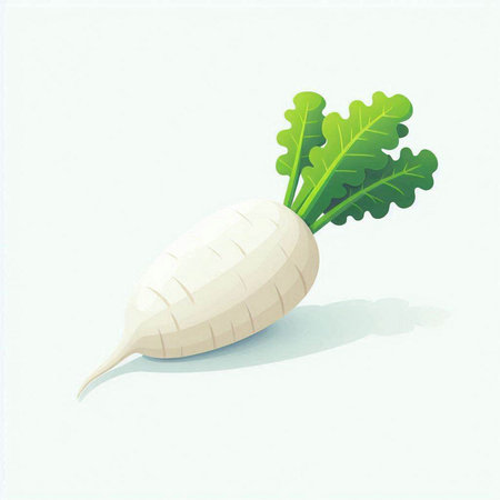 Illustration of a white daikon radish on a white backgroundのイラスト素材