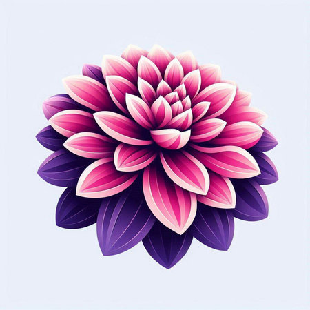 Pink and purple dahlia flower on blue background. Vector illustration.のイラスト素材