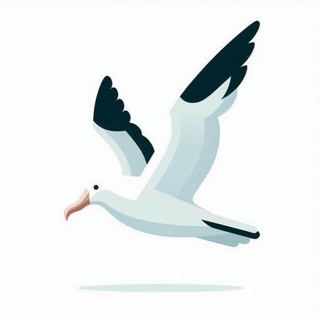 Flying seagull on a white background. Vector illustration in flat style.のイラスト素材