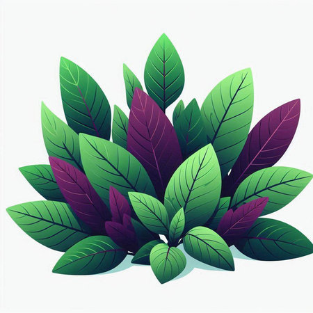 Illustration of a green plant with purple leaves on a white backgroundのイラスト素材