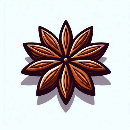 Illustration of anise star on a white background. Vector illustration.のイラスト素材