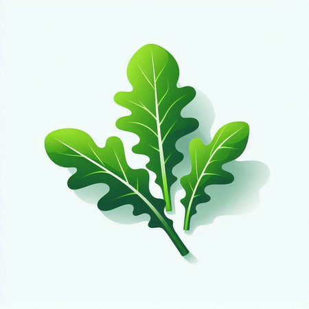 Fresh green arugula leaves isolated on white background. Vector illustration.のイラスト素材