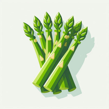 Bunch of green asparagus on white background. Vector illustration.のイラスト素材