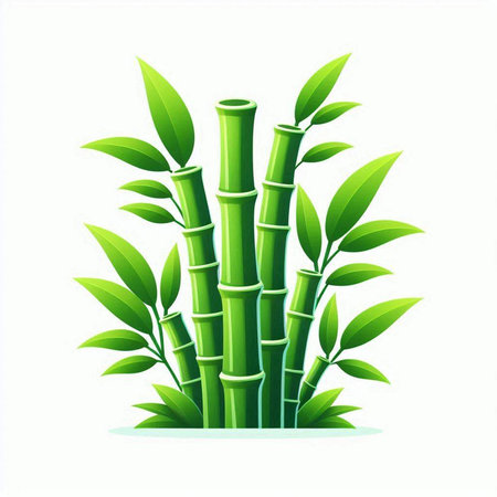 Green bamboo isolated on white background. Vector illustration for your design.のイラスト素材