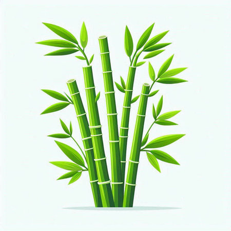 bamboo vector illustration isolated on a white background. vector illustration.のイラスト素材