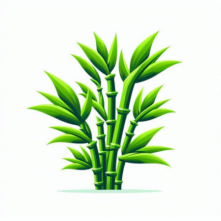Green bamboo isolated on white background. Vector illustration for your design.のイラスト素材