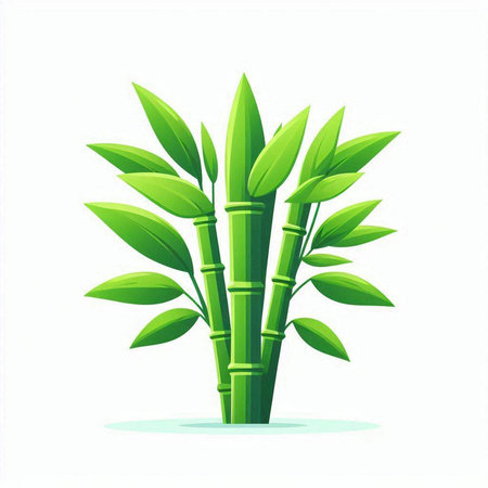Bamboo vector illustration. Isolated green bamboo on white background.のイラスト素材