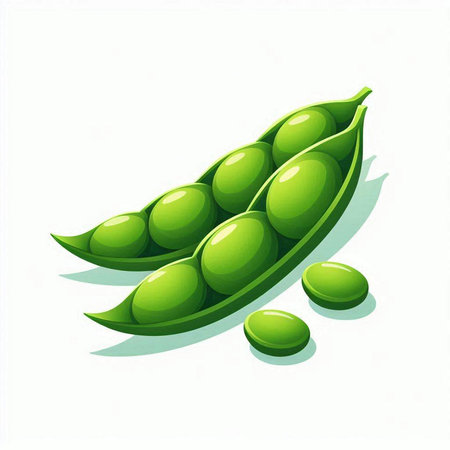 Green peas on a white background. Vector illustration of green peas.のイラスト素材