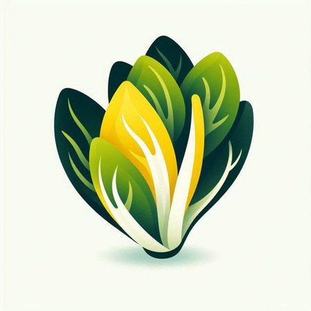 Leafy chard icon. Vector illustration isolated on white background.のイラスト素材