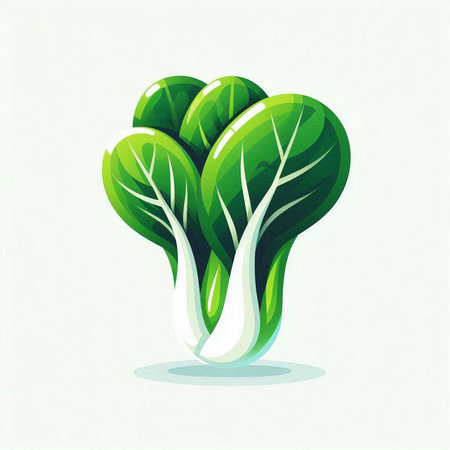 Bok choy vector illustration. Fresh green bok choy vegetable.のイラスト素材