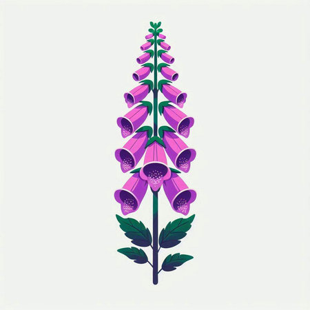 Digitalis purpurea. Digitalis purpurea. Vector illustrationのイラスト素材