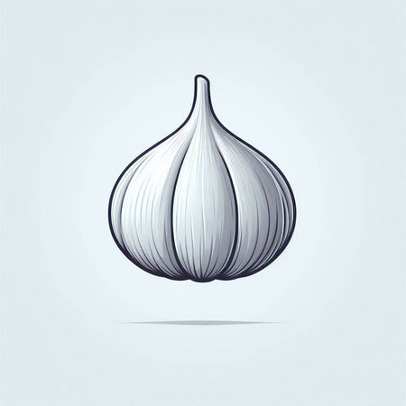 Garlic vector illustration. Isolated object on a white background.のイラスト素材