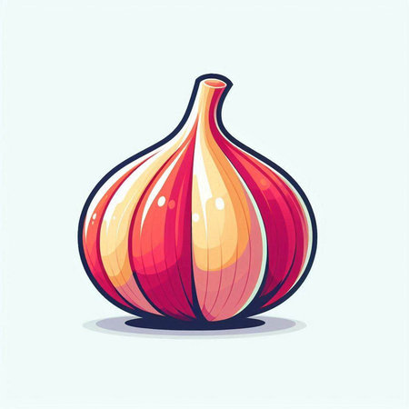 Illustration of a fresh garlic on a light background. Vector illustration.のイラスト素材
