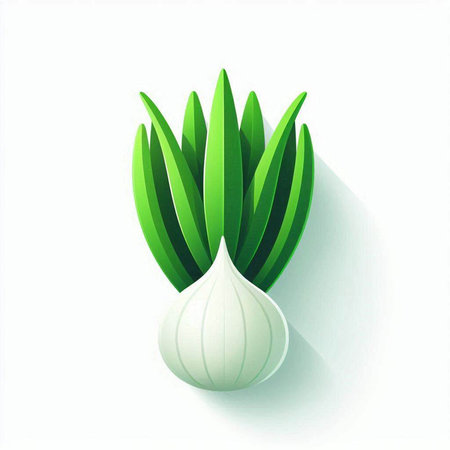 Illustration of fresh green onion on white background. Vector illustration.のイラスト素材