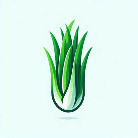 Vector illustration of a green onion on a white background. Isolated.のイラスト素材