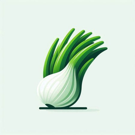 Illustration of fresh green onion on white background. Vector illustration.のイラスト素材