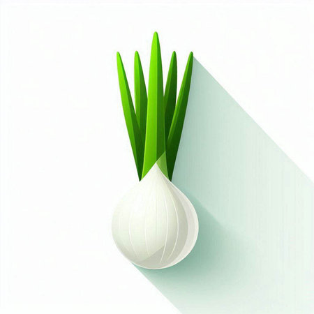 Illustration of a fresh onion on a white background with shadow.のイラスト素材