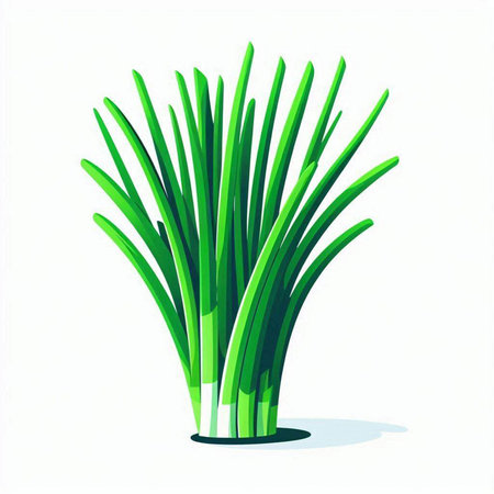 Green onion isolated on white background. Vector illustration. Eps 10.のイラスト素材