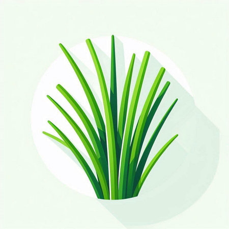 green grass on a white background. flat design. vector illustration.のイラスト素材