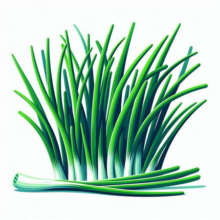 Green onion on a white background. Vector illustration for your design.のイラスト素材