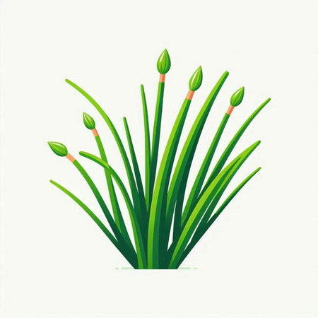 Green spring onion plant isolated on white background. Vector illustration for your designのイラスト素材