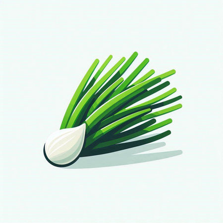 Vector illustration of green onion on white background. Vegetarian food.のイラスト素材