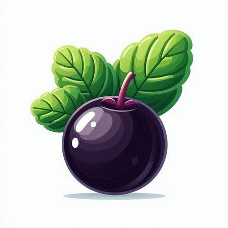 Black plum with leaves isolated on a white background. Vector illustration.のイラスト素材