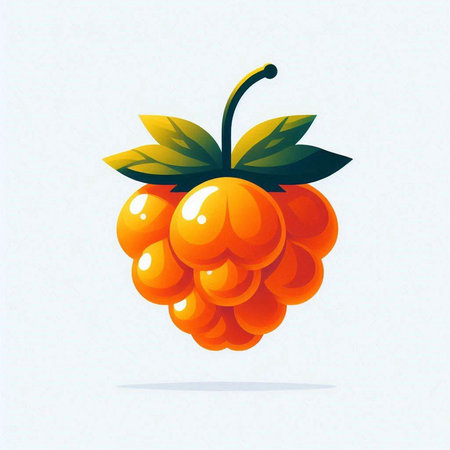 Raspberry vector illustration. Isolated berry on white background.のイラスト素材