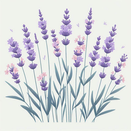 Lavender flowers. Hand drawn vector illustration in vintage style.のイラスト素材