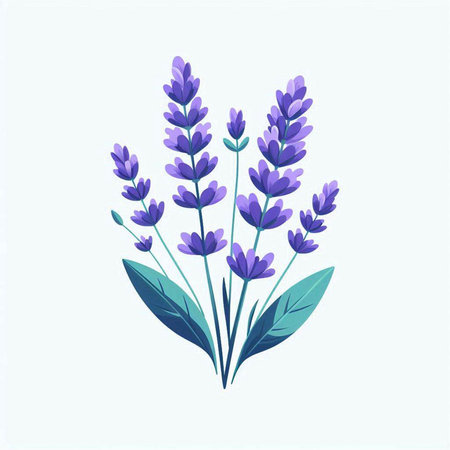 Lavender flowers vector illustration. Hand drawn lavender flowers.のイラスト素材