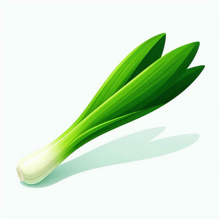 Fresh leek isolated on white background. Vector illustration. Eps 10.のイラスト素材