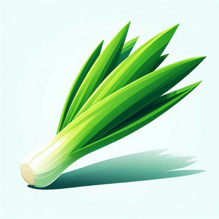 Fresh leek on white background. Vector illustration. Eps 10.のイラスト素材