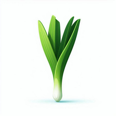 Green onion isolated on white background. Vector illustration. Eps 10.のイラスト素材