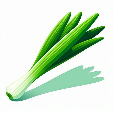 Fresh green leek isolated on a white background. Vector illustration.のイラスト素材