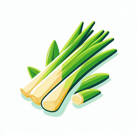 Sliced leek isolated on white background. Vector illustration.のイラスト素材