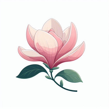 Magnolia flower isolated on white background. Hand drawn vector illustration.のイラスト素材