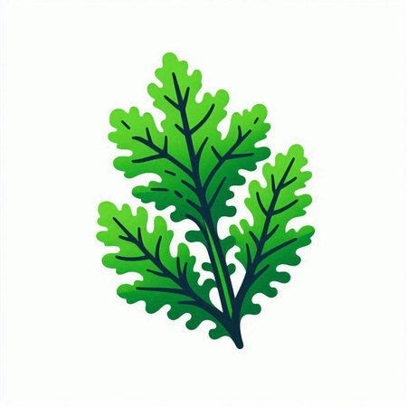 Green arugula leaves on a white background. Vector illustration.のイラスト素材