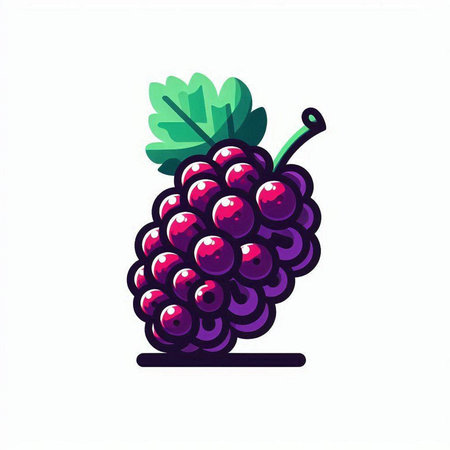 Grapes vector illustration isolated on white background. Hand drawn bunch of grapes.のイラスト素材