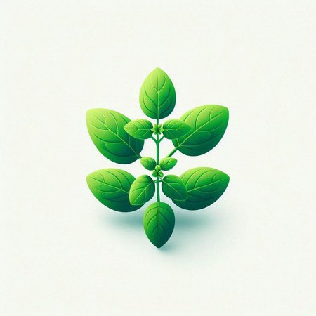Green fresh basil leaves on white background. Eps 10 vector file.のイラスト素材
