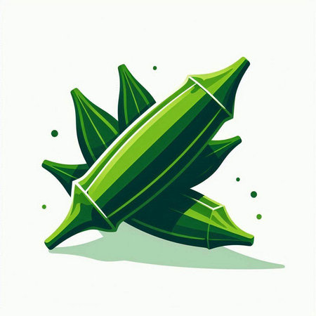 Illustration of a fresh okra on a white background - vectorのイラスト素材