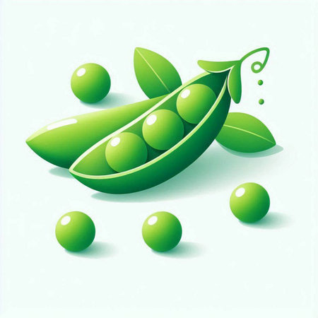 Fresh green peas with leaves on a light background. Vector illustration.のイラスト素材